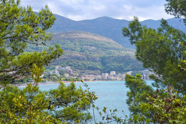 View of the sea from the mountain, where pine trees grow. Montenegro. The Budva Riviera. Becici