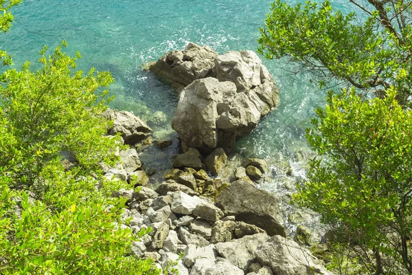 Huge stones in the sea on a sunny day and bright young green plants. View from above. Montenegro. The Budva Riviera — Stock Photo, Image