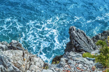 Dağdan deniz manzarası. Ağaç suyun yanında yetişir. Adriyatik Denizi.