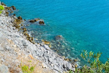 Dağdan deniz manzarası. Ağaç suyun yanında yetişir. Adriyatik Denizi.