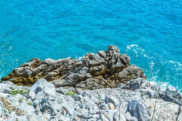 Havsutsikt från berget. Trädet växer nära vattnet. Adriatiska havet. — Stockfoto