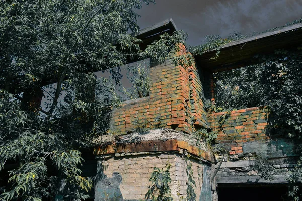 Antigua casa quemada cubierta de plantas en la noche iluminada por la luna. Horror. Ojos en la oscuridad . —  Fotos de Stock