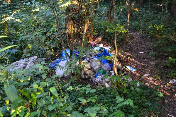 Unauthorized landfill in the forest. Pollution of nature. Bad ecology — Stock Photo, Image