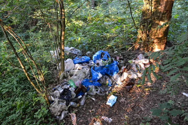 Unauthorized landfill in the forest. Pollution of nature. Bad ecology