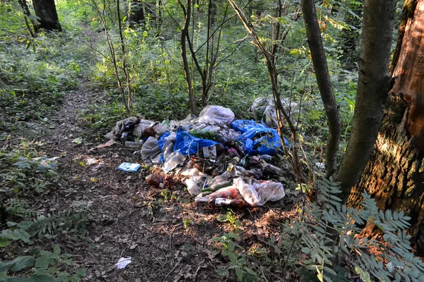 Unauthorized landfill in the forest. Pollution of nature. Bad ecology — Stock Photo, Image