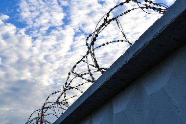 Dikenli telli bir çit