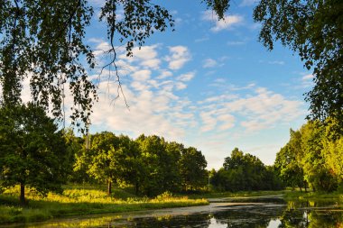 Gölün güzel manzarası. Sabah ın erken saatlerinde. Yaz. Rusya. Moskova bölgesi.