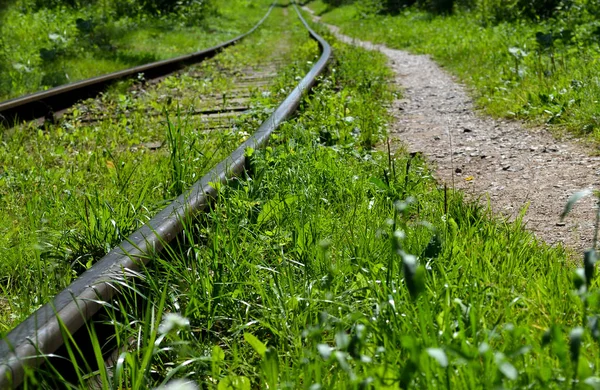 Gamla övergivna järnväg övervuxet med gräs — Stockfoto