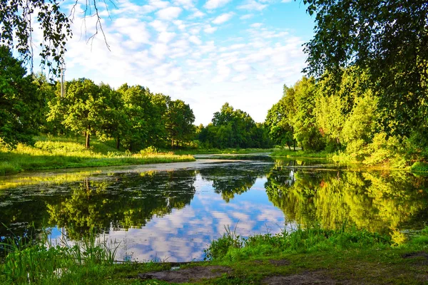 Piękny widok na jezioro. Wczesnym rankiem. Letnich. Rosja. Region Moskiewski. — Zdjęcie stockowe