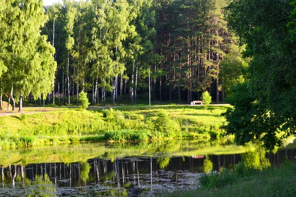 Piękny widok na jezioro. Wczesnym rankiem. Letnich. Rosja. Region Moskiewski. — Zdjęcie stockowe