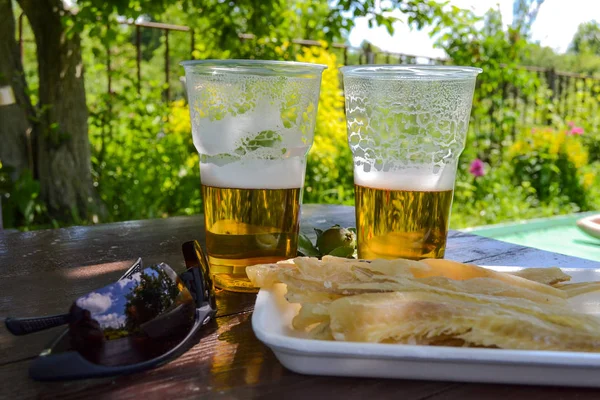 两杯啤酒咸鱼片。大自然中的野餐 — 图库照片