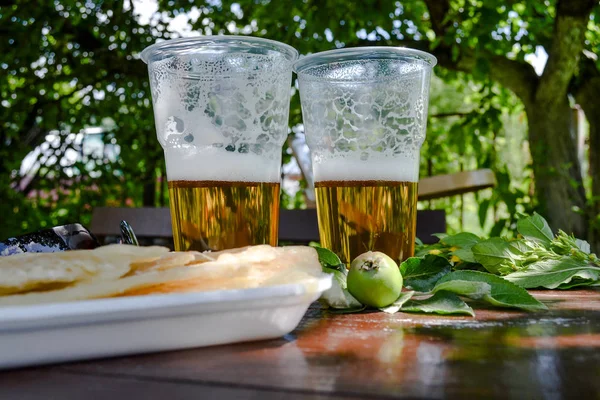 İki bardak bira. Tuzlu balık filetosu. Doğada Piknik — Stok fotoğraf