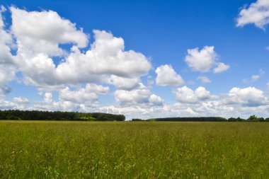 Yeşil alan ve bulutlarla gökyüzü. Doğada yaz gezisi