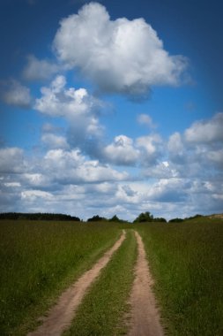 Tarladan geçen köy yolu. Bulutlu gökyüzü