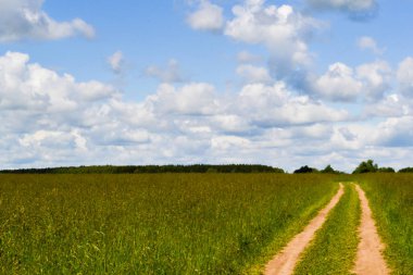 Tarladan geçen köy yolu. Bulutlu gökyüzü