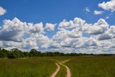 Tarladan geçen köy yolu. Bulutlu gökyüzü