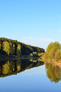 Orman, orman gölünün sakin mavi suyuna yansır. Sabahın erken saatlerinde.