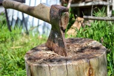 Balta kütükte. Balta kereste kesmek için hazır. Ahşap işleme aleti. Seyahat, macera, kamp malzemeleri, açık havada öğeler