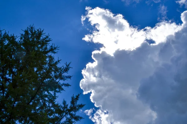 Cielo con nuvole di pioggia — Foto Stock