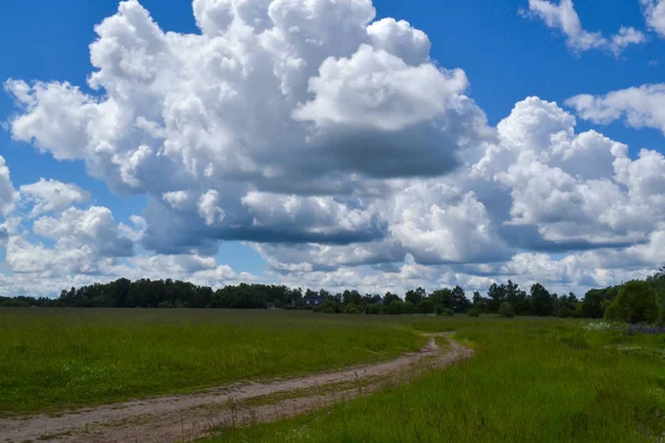 Country road through the field. Sky with clouds — Stock Photo, Image