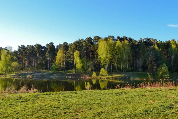 Spiegelt sich der Wald im ruhigen blauen Wasser des Waldsees. frühmorgens. — Stockfoto