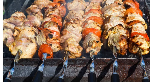 Vepřové maso, vyrobené jako scvrkatelné kebab na pikniku na otevřeném vzduchu — Stock fotografie