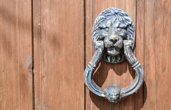 Puerta de madera con asa hecha en forma de león — Foto de Stock