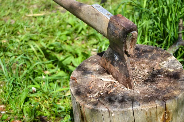 Axe in stump. Axe ready for cutting timber.Woodworking tool. Travel, adventure, camping gear, outdoors items