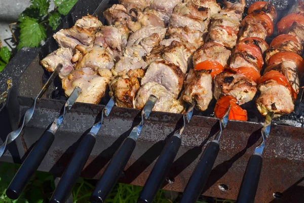 Vepřové maso, vyrobené jako scvrkatelné kebab na pikniku na otevřeném vzduchu — Stock fotografie