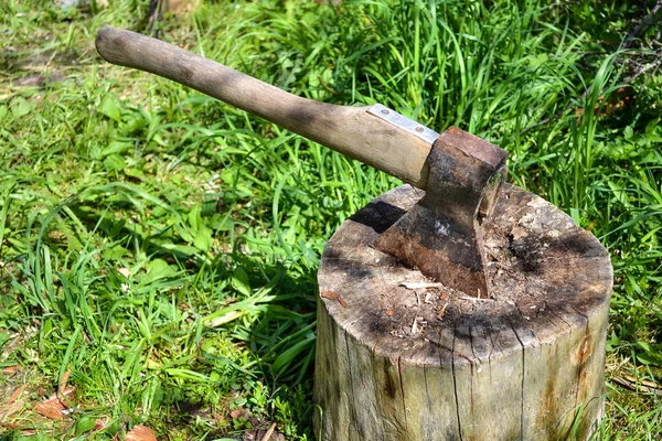 Axe in stump. Axe ready for cutting timber.Woodworking tool. Travel, adventure, camping gear, outdoors items