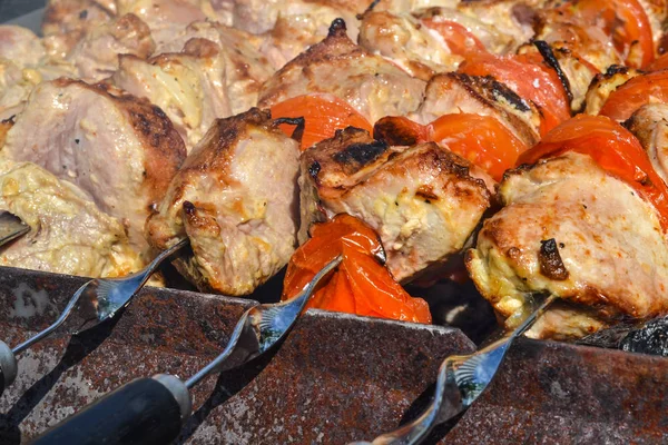 Carne de porco, feita como um prato de carne shish em um piquenique ao ar livre — Fotografia de Stock