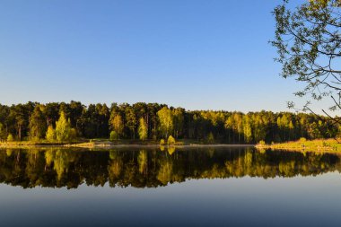 Orman gölünün sakin mavi suyuna yansır. Sabahın erken saatlerinde.