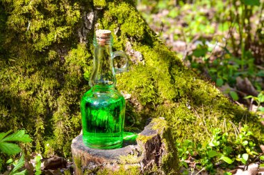 Yosunlu bir kütük te yeşil sihirli sıvı olan bir şişe. Sihirli drin