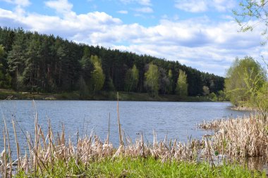 Orman Gölü. Sabah ve dalgalar olmadan sakin su. Rahatlayın ve sessiz olun