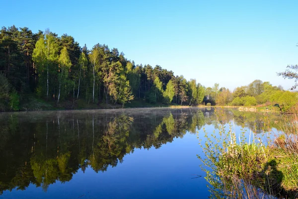 Wald und Himmel spiegeln sich im ruhigen blauen Wasser des Seewaldes wider. frühmorgens. — Stockfoto