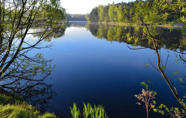 Vody klidného jezera časně ráno v lese — Stock fotografie