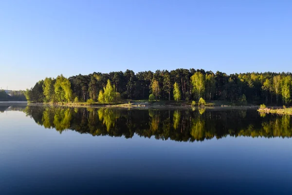 Wald und Himmel spiegeln sich im ruhigen blauen Wasser des Waldsees. frühmorgens. — Stockfoto