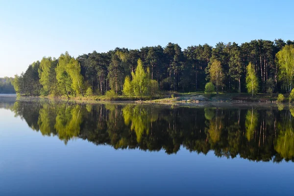 Wald spiegelt sich im ruhigen blauen Wasser des Waldsees wider. frühmorgens. — Stockfoto