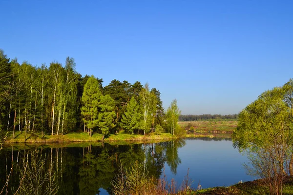 Bosque y cielo reflejados en las tranquilas aguas azules del Bosque del Lago. Temprano. . — Foto de Stock