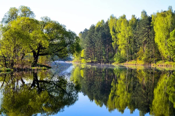 Bosque se refleja en la calma de agua azul del lago del bosque. Temprano. . — Foto de Stock
