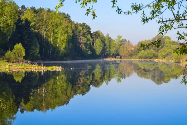Bosque se refleja en la calma de agua azul del lago del bosque. Temprano. . — Foto de Stock