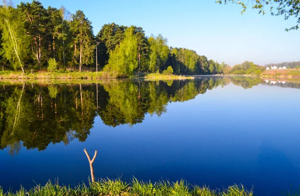 El mejor lugar para pescar. Mañana en un lago del bosque . — Foto de Stock