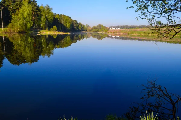 Wald spiegelt sich im ruhigen blauen Wasser des Waldsees wider. frühmorgens. — Stockfoto