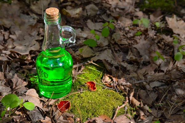 Bottle with a green transparent liquid in a forest near the red — Stock Photo, Image
