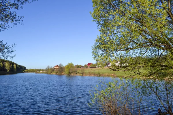 River et ses rives. Arbres le long des deux côtés de l'eau. Ciel nuageux . — Photo