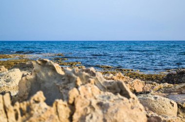 Deniz kıyısında keskin taşlar. doğal arka plan