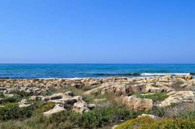 Seascape. bitki örtüsü ile düz kayalar. Bulutsuz mavi gökyüzü