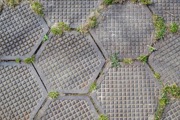 Grungy Hexagonal Tiled Seamless TGarden pasarela hecha de placas hexagonales. La hierba atraviesa las losas. Antecedentes — Foto de Stock
