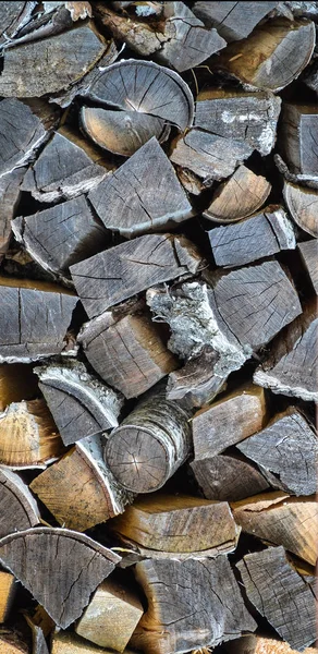 Toros de bétula para lareira. Forma ecológica de aquecer a casa com madeira seca . — Fotografia de Stock