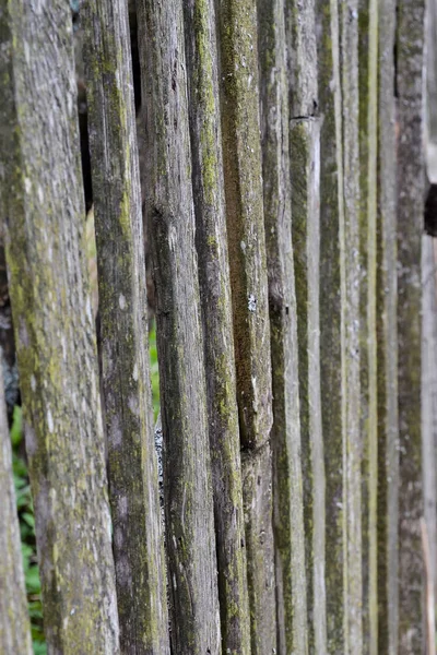 Eski ahşap arka plan siyah ve beyaz çit — Stok fotoğraf